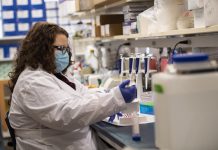 Biology: University of Cincinnati study unveils possible new combo therapy for head and neck cancer