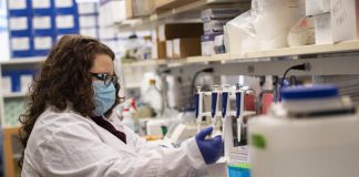 Biology: University of Cincinnati study unveils possible new combo therapy for head and neck cancer