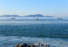 Biology: Upper ocean temperatures hit record high in 2020