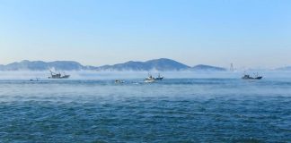 Biology: Upper ocean temperatures hit record high in 2020