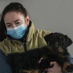 Czech trainers teach dogs to sniff out COVID-19 Czech trainers teach dogs to sniff out COVID-19