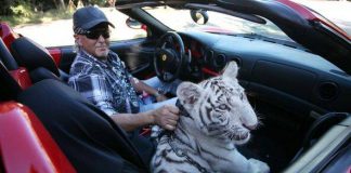 US judge orders Tiger King zoo to turn over big cats US judge orders Tiger King zoo to turn over big cats