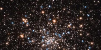 Astronomers find clump of black holes inside the heart of globular cluster Astronomers find clump of black holes inside the heart of globular cluster