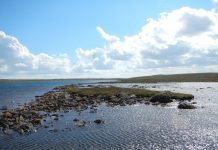 Biology: Arctic stew: Understanding how high-latitude lakes respond to and affect climate change