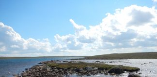 Biology: Arctic stew: Understanding how high-latitude lakes respond to and affect climate change