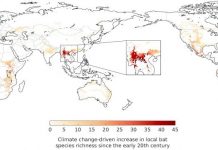 Biology: Climate change may have driven the emergence of SARS-CoV-2
