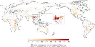 Biology: Climate change may have driven the emergence of SARS-CoV-2