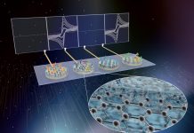 Biology: Detecting multiple sepsis biomarkers from whole blood – made fast, accurate, and cheap