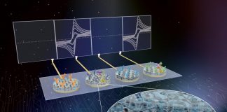 Biology: Detecting multiple sepsis biomarkers from whole blood – made fast, accurate, and cheap