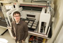 Biology: Evolution’s game of rock-paper-scissors | Science News