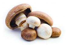 Biology: Just add mushrooms: Making meals more nutritious