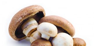 Biology: Just add mushrooms: Making meals more nutritious