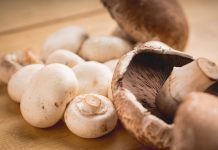 Biology: Mushrooms add important nutrients when included in the typical diet