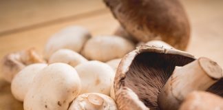 Biology: Mushrooms add important nutrients when included in the typical diet