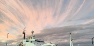 Biology: New factor in the carbon cycle of the Southern Ocean identified