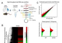Biology: Predicts the onset of Alzheimer’s Disease (AD) using deep learning-based Splice-AI