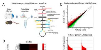 Biology: Predicts the onset of Alzheimer’s Disease (AD) using deep learning-based Splice-AI