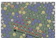 Biology: Shuffling bubbles reveal how liquid foams evolve