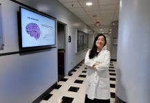 Biology: Tiny population of neurons may have big role in depression