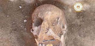 Researchers in Egypt find a mummy with a golden tongue Researchers in Egypt find a mummy with a golden tongue