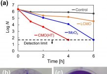Biology: A materials science approach to combating coronavirus