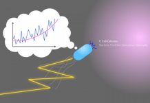 E. Coli calculus: Bacteria find the derivative optimally