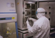 Biology: NYSCF advances toward a cell therapy for age-related macular degeneration