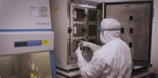 Biology: NYSCF advances toward a cell therapy for age-related macular degeneration