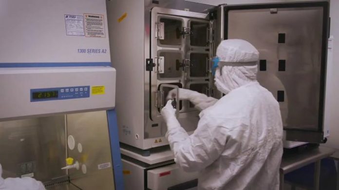 Biology: NYSCF advances toward a cell therapy for age-related macular