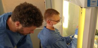 Biology: New Corona test developed | Science News