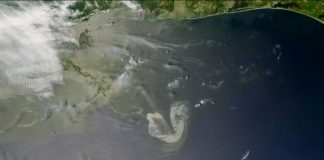 Biology: Oil in the ocean photooxides within hours to days, new research finds