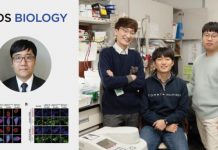 Biology: Researchers identify genetic pathway that suppresses Lou Gehrig’s Disease