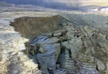 Biology: TU Graz scientists identify chemical processes as key to understanding landslides