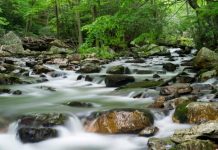 Biology: What can stream quality tell us about quality of life?