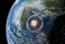 Asteroid that wiped out the dinosaurs helped shape rain forests, Researchers Say Asteroid that wiped out the dinosaurs helped shape rain forests, Researchers Say