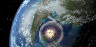 Asteroid that wiped out the dinosaurs helped shape rain forests, Researchers Say Asteroid that wiped out the dinosaurs helped shape rain forests, Researchers Say