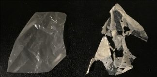 New process makes ‘biodegradable’ plastics truly compostable (Study) New process makes 'biodegradable' plastics truly compostable (Study)