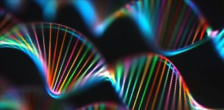 Researchers Collect Animal DNA From Air For the First Time Ever Researchers Collect Animal DNA From Air For the First Time Ever