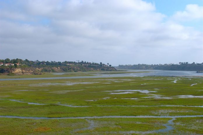 Research: Human wastewater is feeding harmful algae blooms off of Southern California’s coast