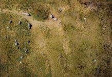 Research: Viking ship burials shrouded in mystery Research: Viking ship burials shrouded in mystery