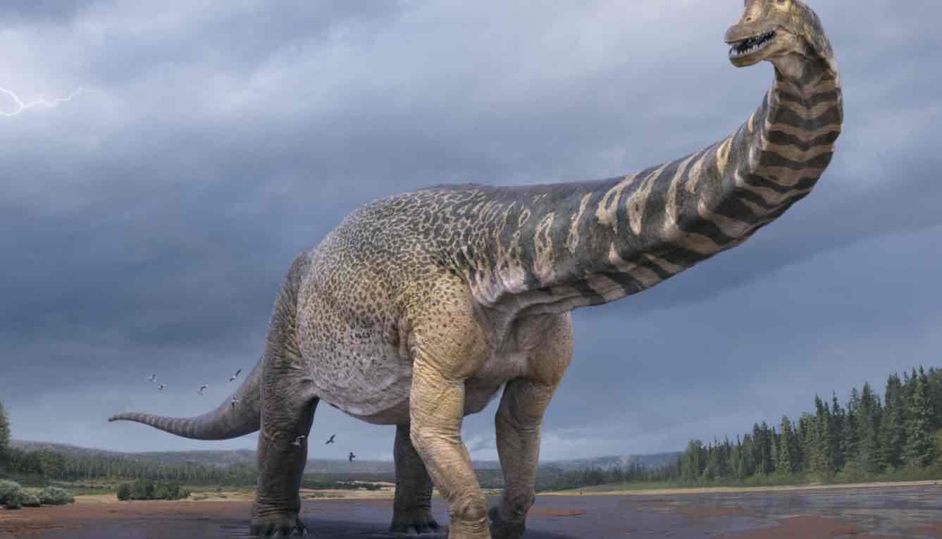 new dinosaur found 2020