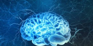 Research finds brain areas involved in seeking information about bad possibilities Research finds brain areas involved in seeking information about bad possibilities