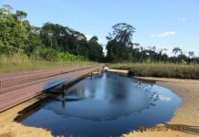 Research finds high levels of lead in indigenous people in Peruvian Amazonia Research finds high levels of lead in indigenous people in Peruvian Amazonia