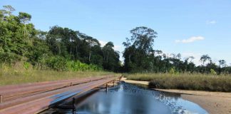 Research finds high levels of lead in indigenous people in Peruvian Amazonia Research finds high levels of lead in indigenous people in Peruvian Amazonia