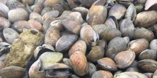 Scientists take part in new monitoring campaign in a bid to find out more about air pollution Scientists take part in new monitoring campaign in a bid to find out more about air pollution