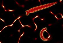 New research sheds light on molecular motion New research sheds light on molecular motion