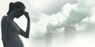 Research: Air pollution poses risk of infertility Research: Air pollution poses risk of infertility