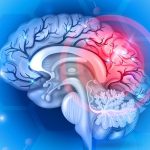 Research proves education prevents disability from brain injury Research proves education prevents disability from brain injury