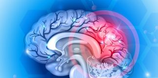 Research proves education prevents disability from brain injury Research proves education prevents disability from brain injury