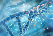 Researchers developed method for identifying disease biomarkers with high accuracy Researchers developed method for identifying disease biomarkers with high accuracy